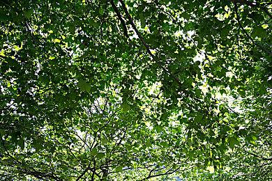 《守望先锋2》新系统发威：两周处理2.3万作弊者 累计封号超百万