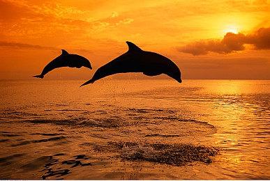 新游唱出来 索尼“One Room Playground”宣传片